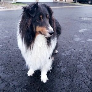 Meet your Posher, Bethany